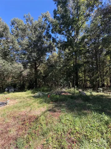 a view of a tree with a yard