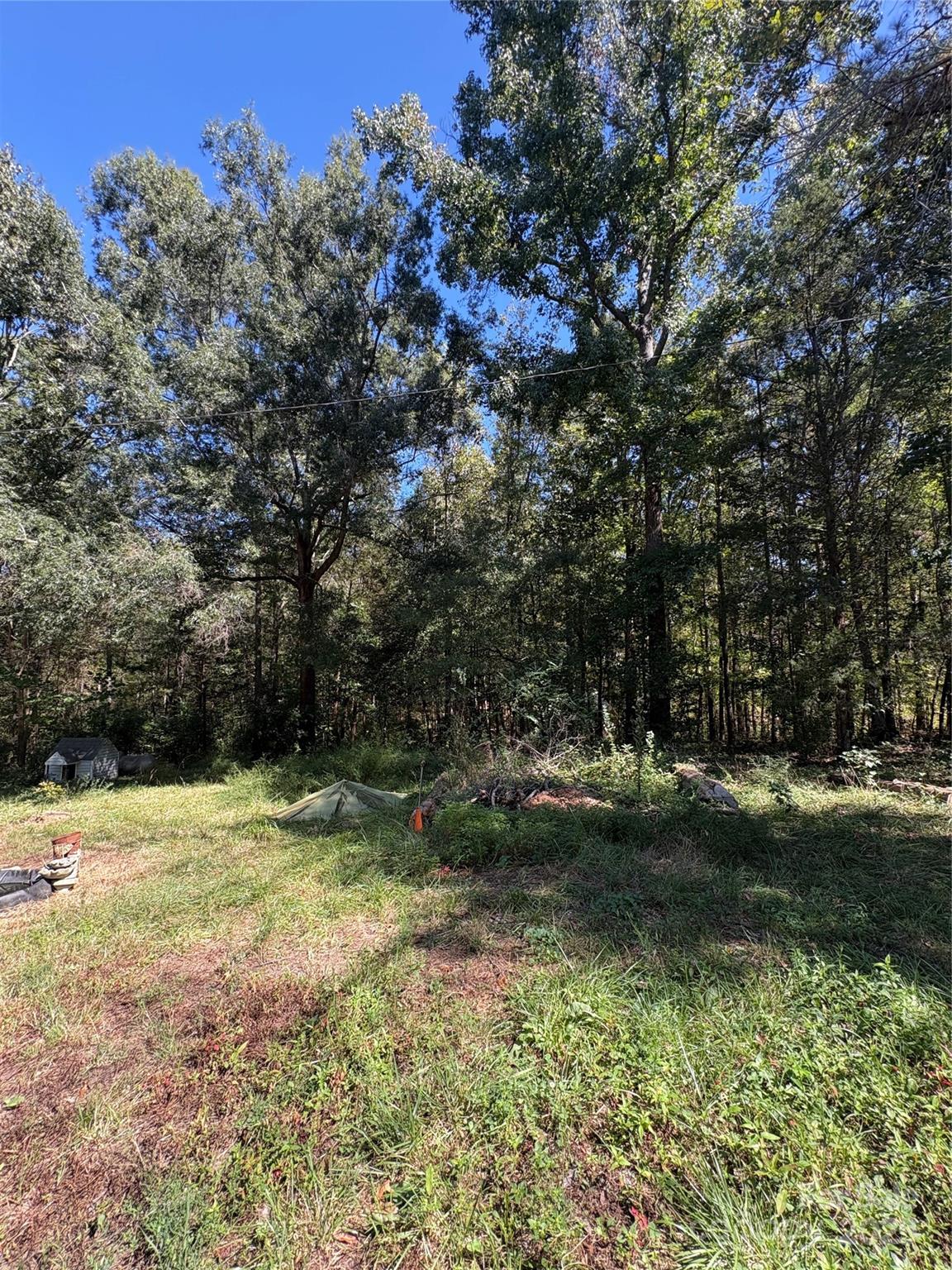 8101 Waxhaw Creek Road Waxhaw, NC 28173 - Photo 9 of 10 a view of a tree with a yard