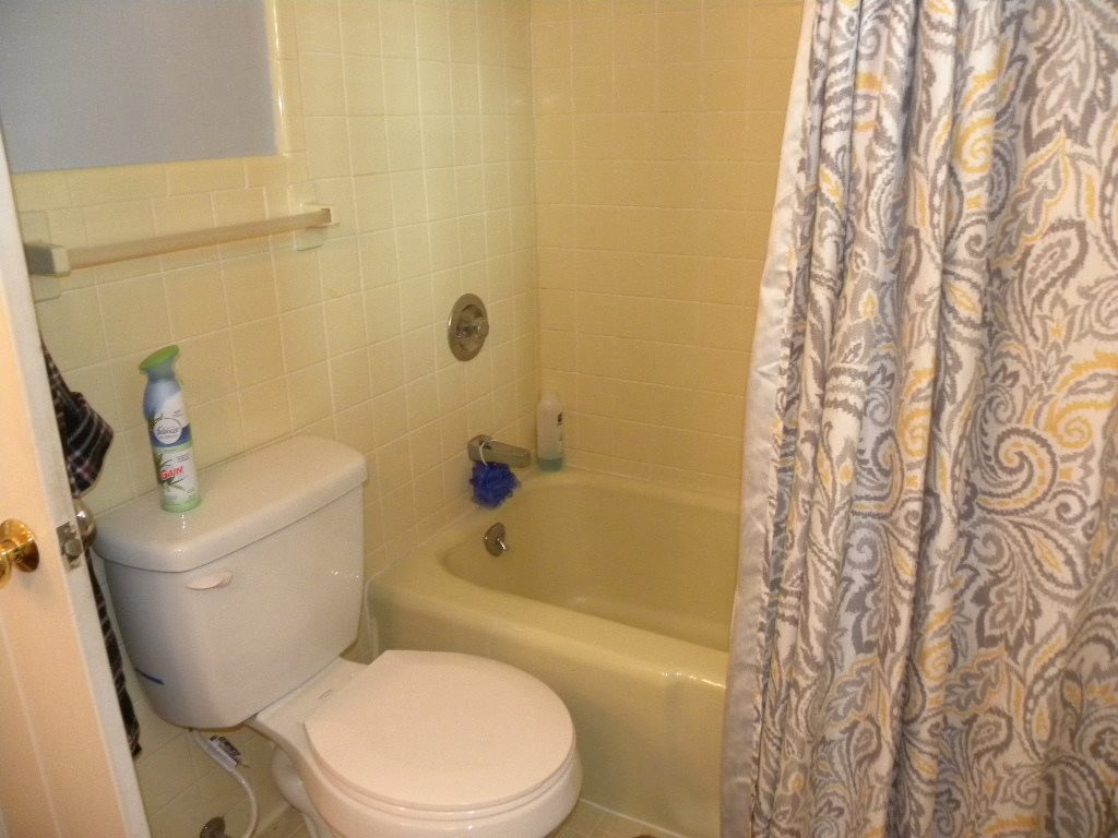 491 Old Johnson Road Wendell, NC 27591 - Photo 16 of 25 Master Bath/Spa