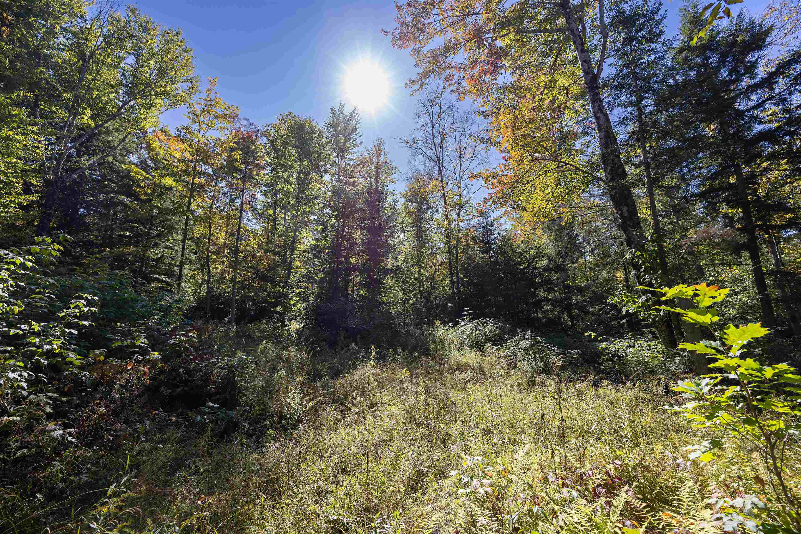 0 Garland Hill Barnet, VT 05821 - Photo 5 of 13 Gallery Image 5