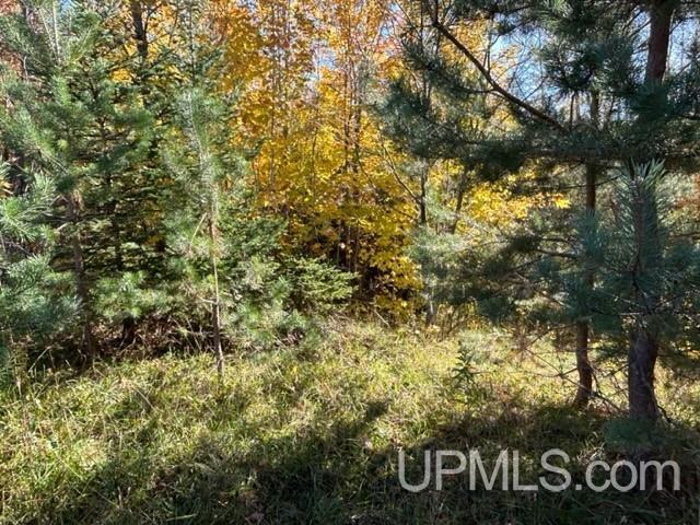 48649 Larson Road Atlantic Mine, MI 49905 - Photo 26 of 47 Gallery Image 26