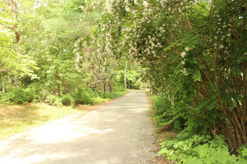 10 Forge Hill Road Franklin, MA 02038 - Photo 2 of 9 Gallery Image 2
