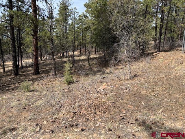 1207 West View Road Pagosa Springs, CO 81147 - Photo 11 of 28 Gallery Image 11