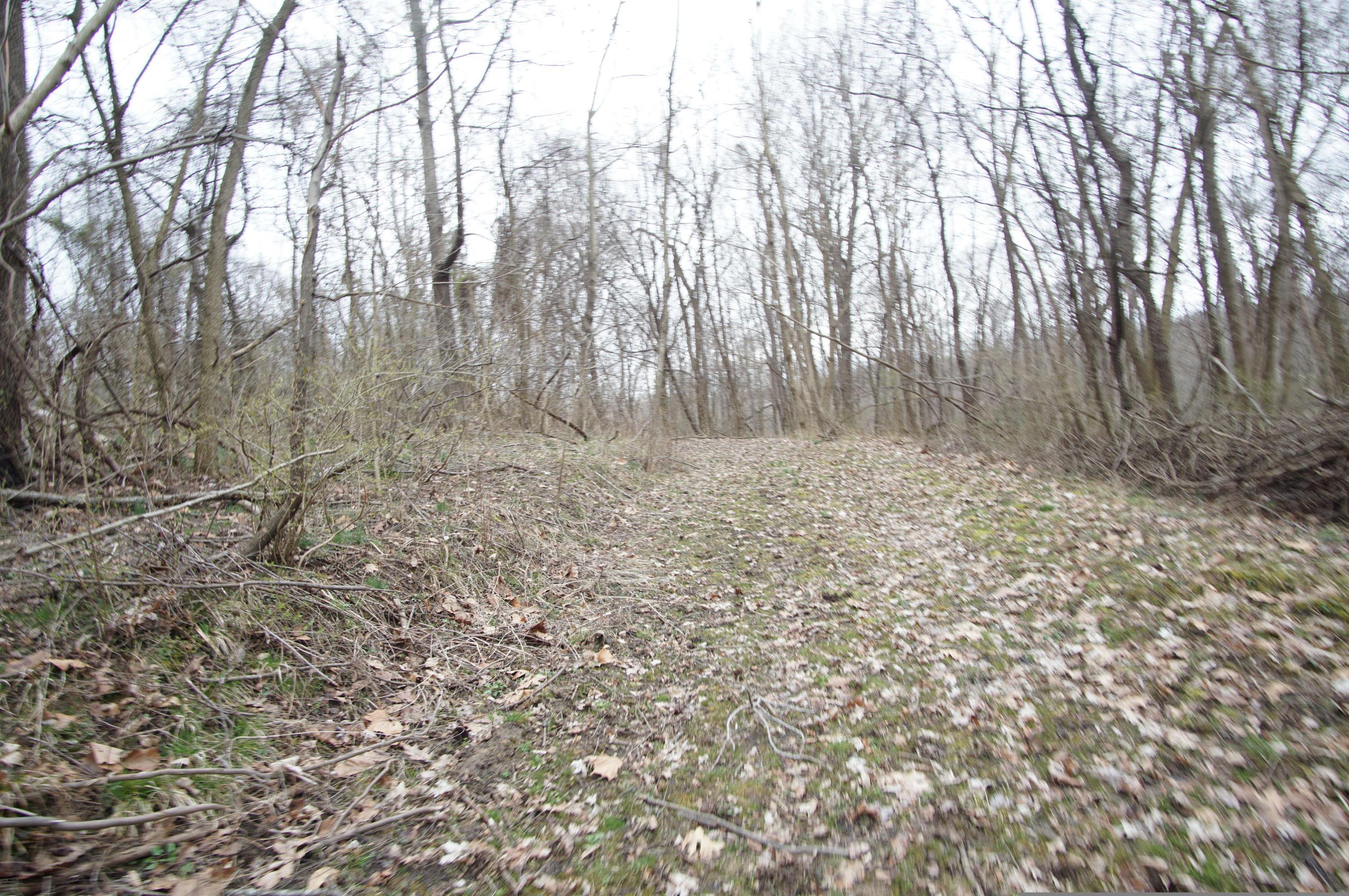 0 Gun Barrel Road Northeast Rushville, OH 43150 - Photo 1 of 19
