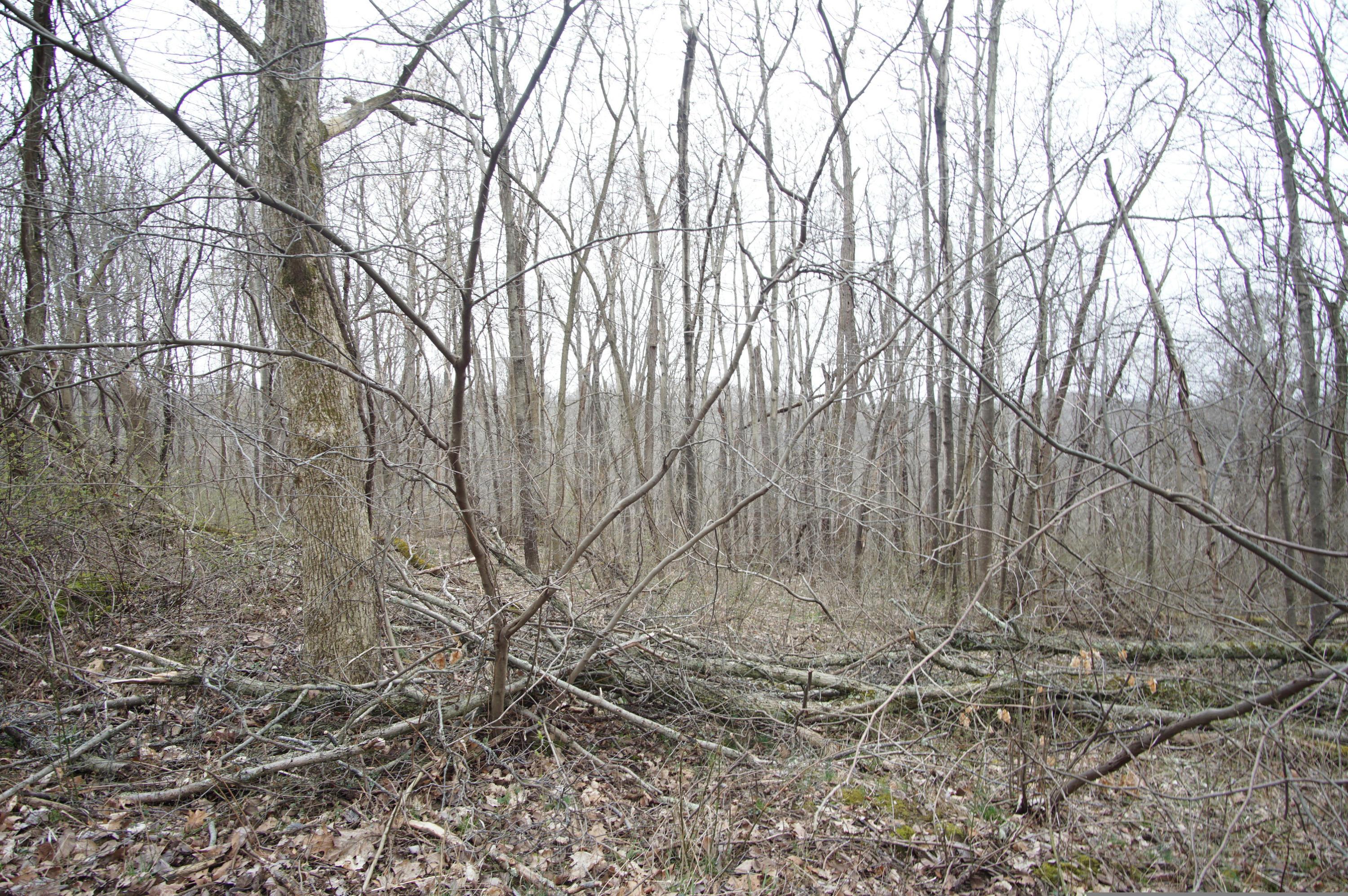 0 Gun Barrel Road Northeast Rushville, OH 43150 - Photo 11 of 19
