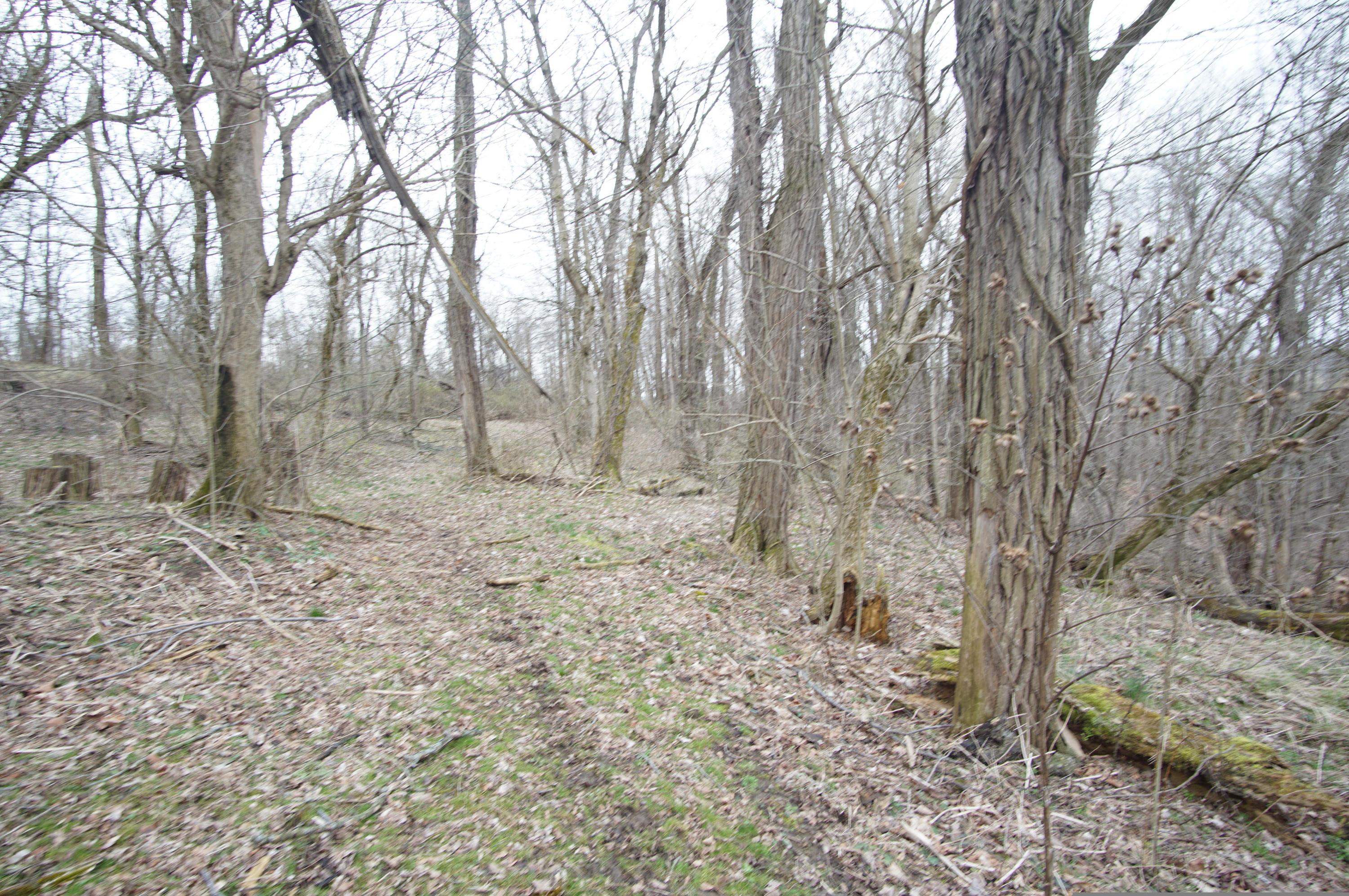 0 Gun Barrel Road Northeast Rushville, OH 43150 - Photo 16 of 19