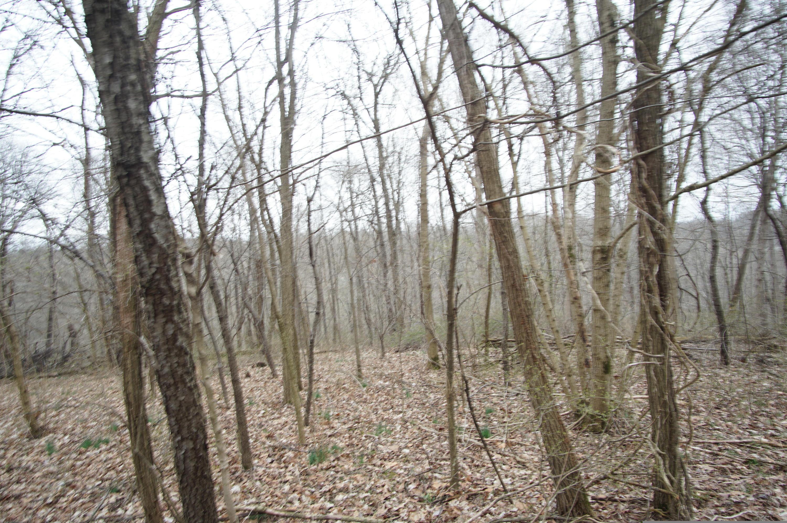 0 Gun Barrel Road Northeast Rushville, OH 43150 - Photo 2 of 19