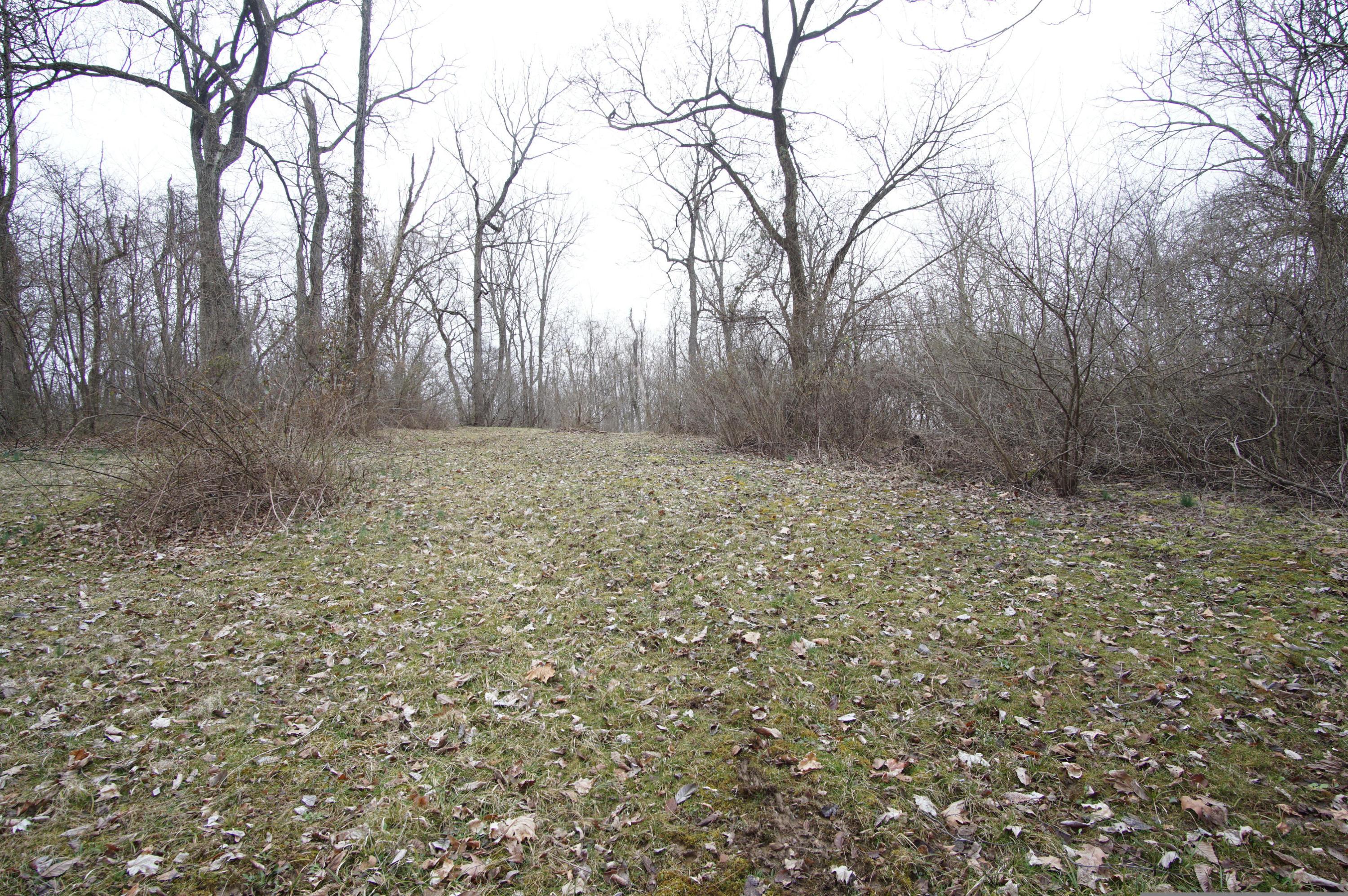 0 Gun Barrel Road Northeast Rushville, OH 43150 - Photo 3 of 19