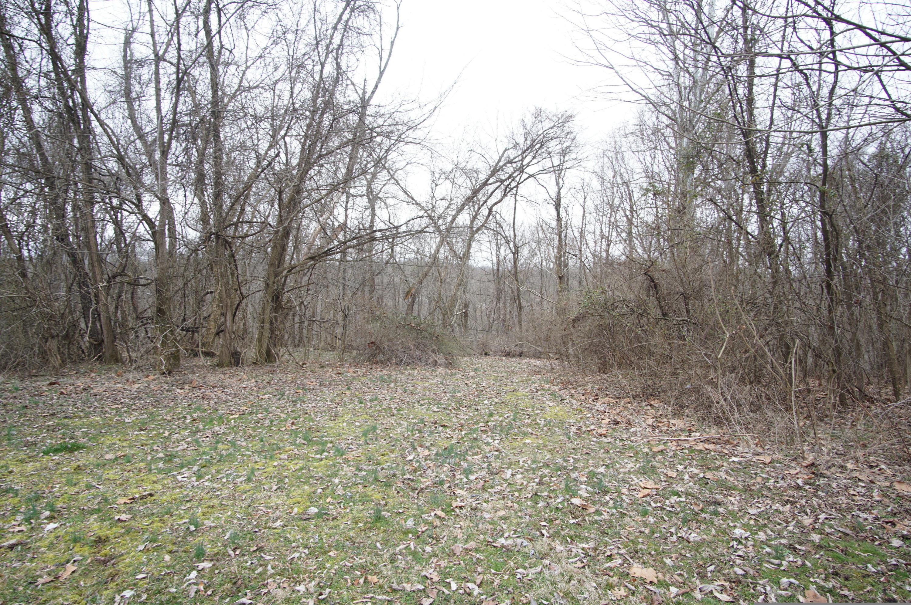 0 Gun Barrel Road Northeast Rushville, OH 43150 - Photo 4 of 19