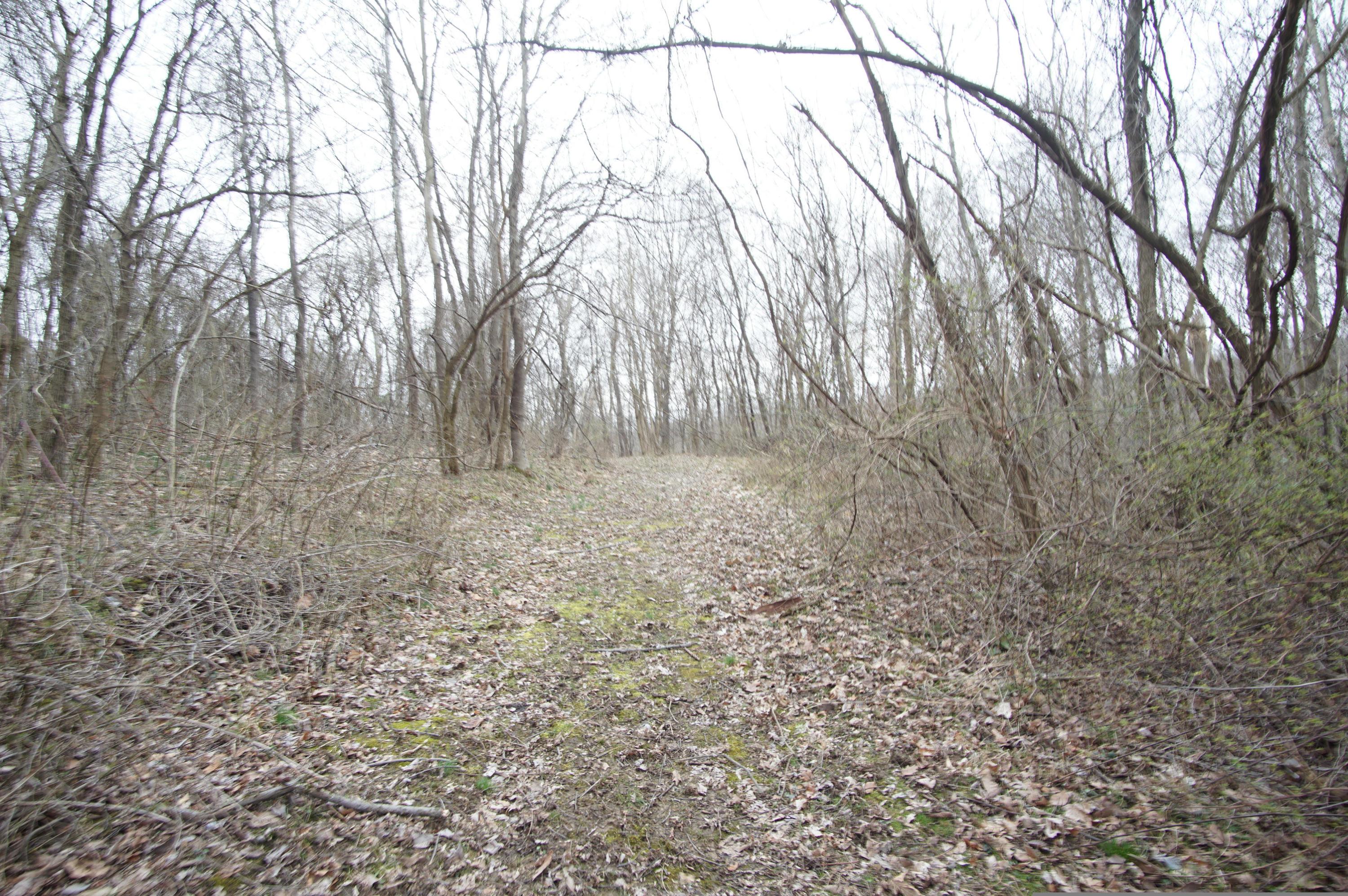 0 Gun Barrel Road Northeast Rushville, OH 43150 - Photo 5 of 19
