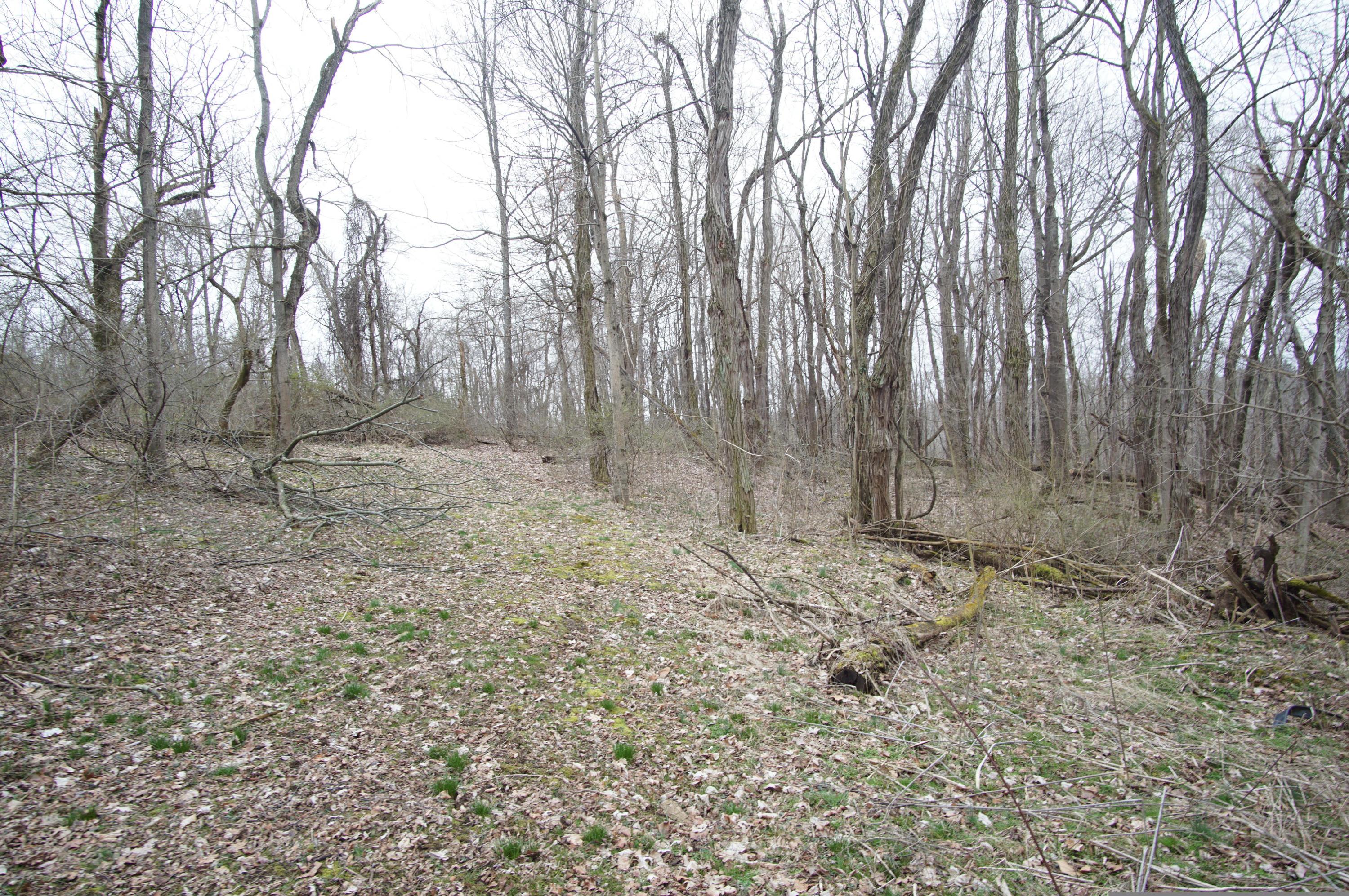 0 Gun Barrel Road Northeast Rushville, OH 43150 - Photo 8 of 19