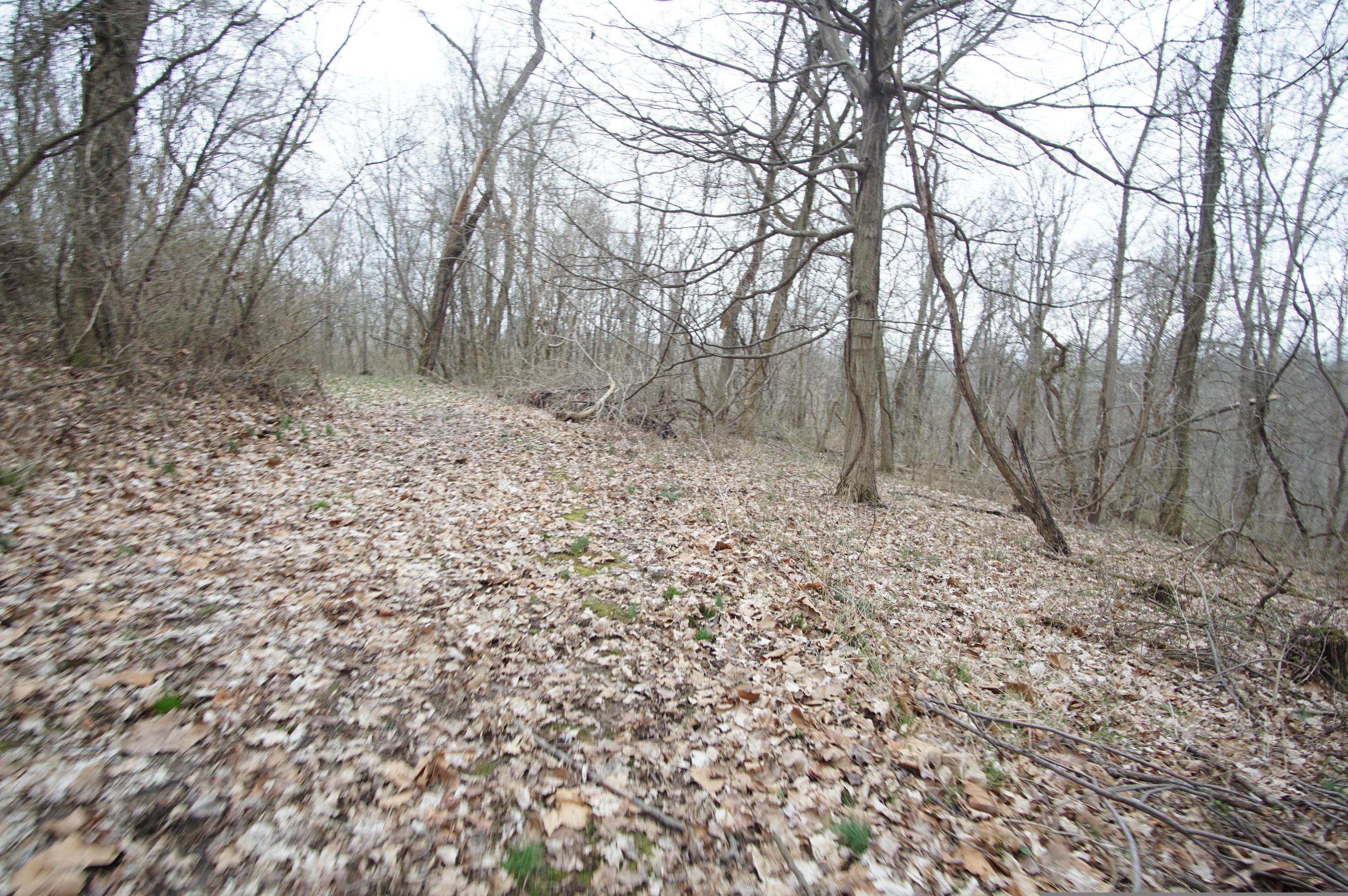 0 Gun Barrel Road Northeast Rushville, OH 43150 - Photo 9 of 19
