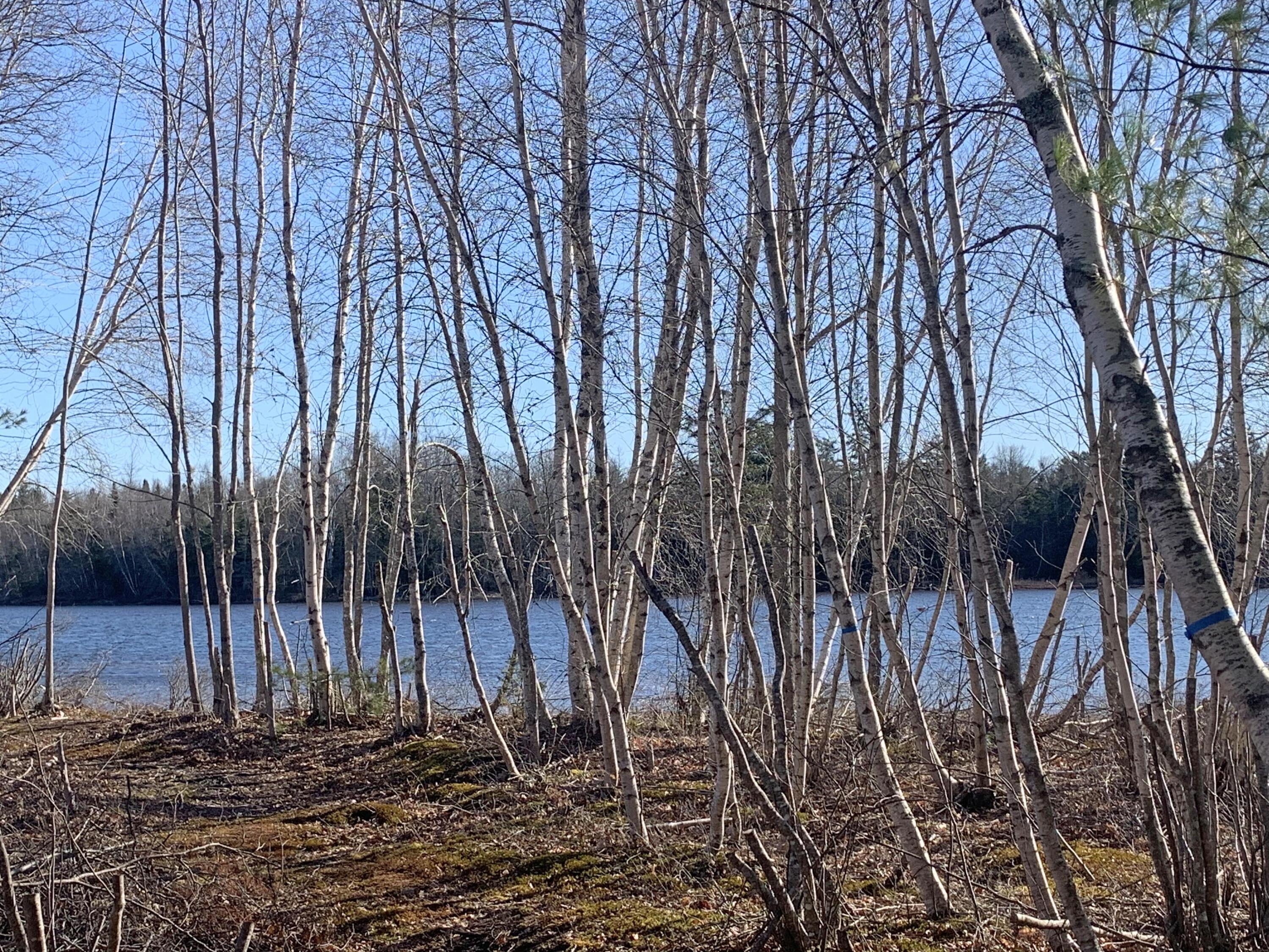 170 Tannery Brook Road Ellsworth, ME 04605 - Photo 27 of 43 4a