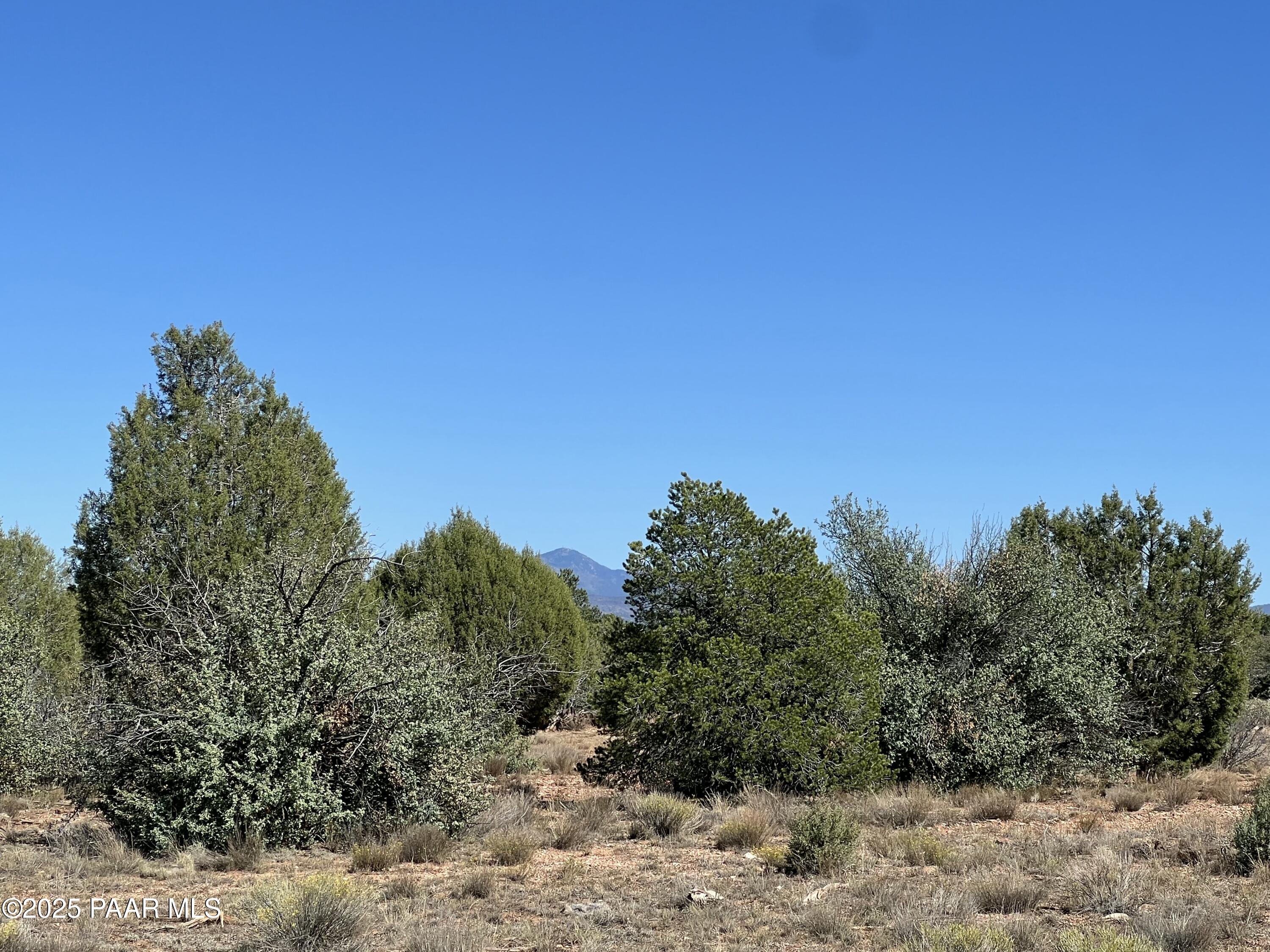 9 A Off Ranch Road Ash Fork, AZ 86320 - Photo 6 of 7 IMG_8897