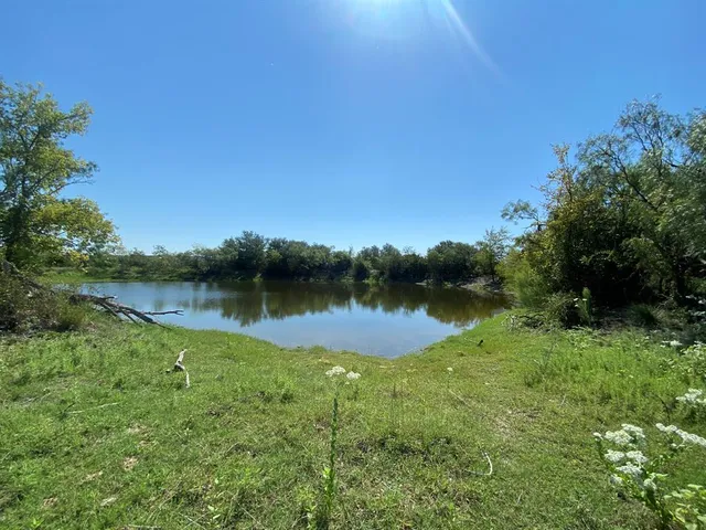 a view of a lake in middle of forest