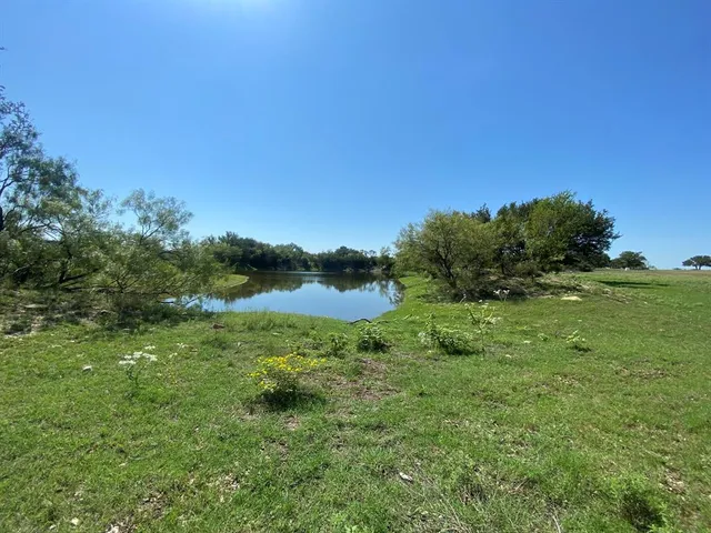a yard with lots of green space