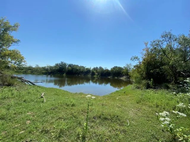 a view of a lake in middle of forest