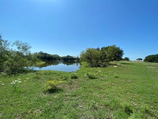 a view of a lush green space