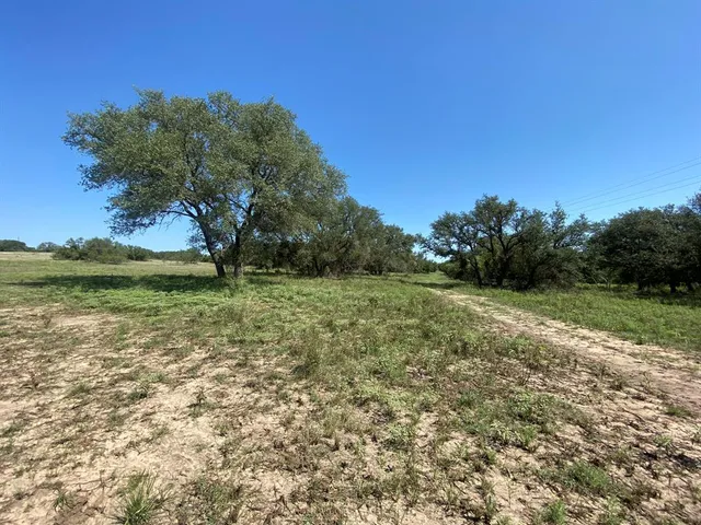 a big yard with lots of green space and trees