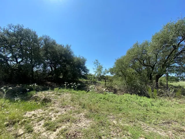 a big yard with lots of green space and deers