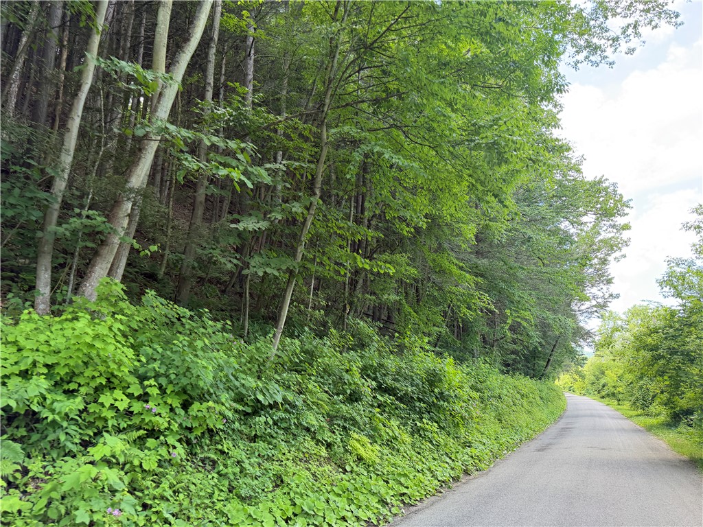 Vl Catatunk Road, Unit R Canisteo, NY 14823 - Photo 7 of 50