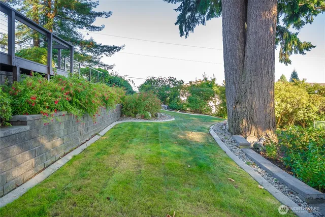 a view of a yard with a tree