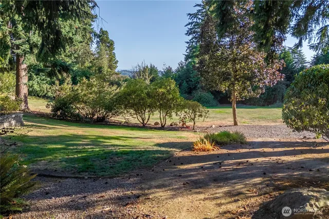 a view of a yard with a slide