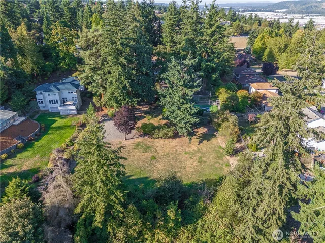 a view of a garden with plants