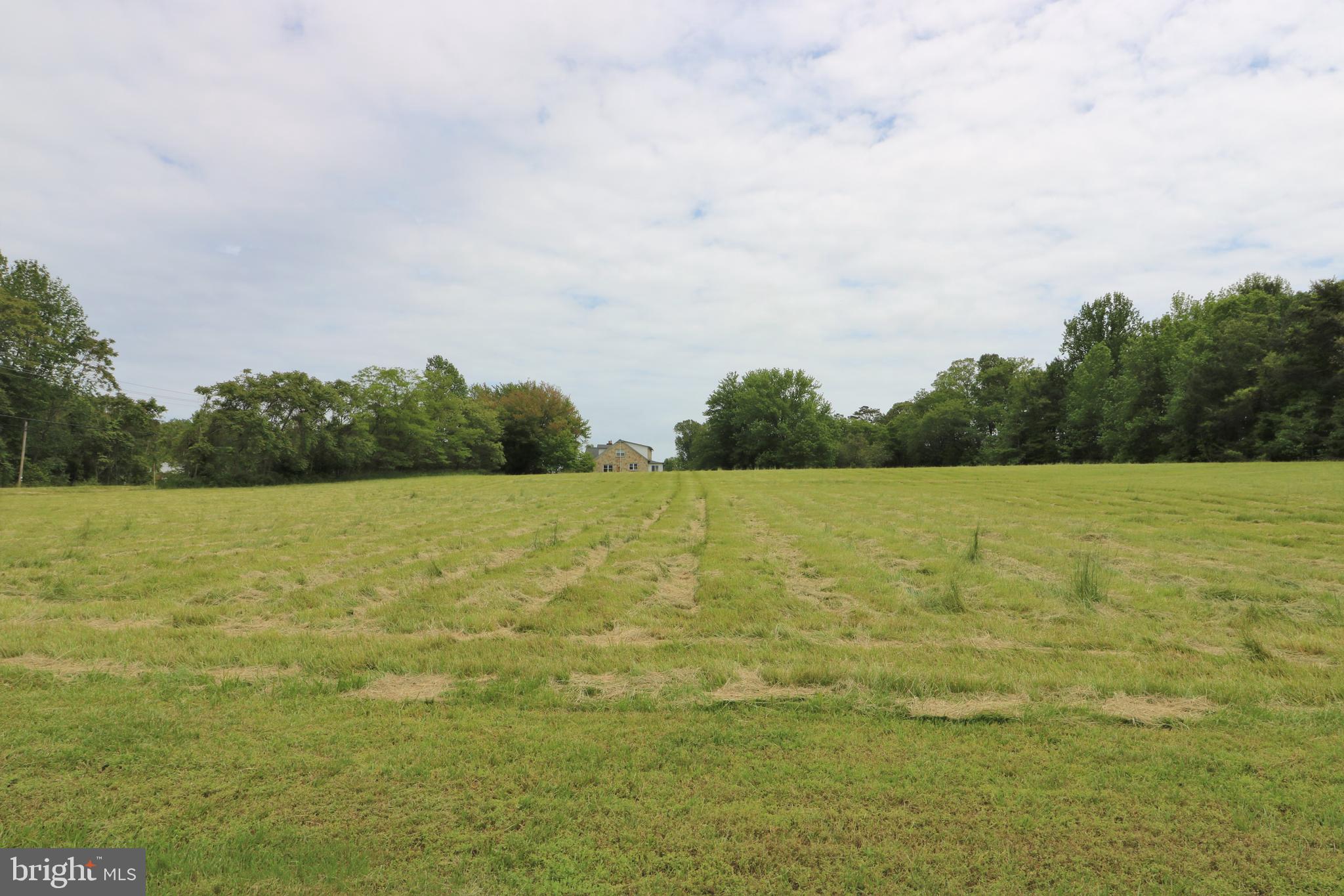 10955 H G Trueman Road Lusby, MD 20657 - Photo 5 of 53 Most of the 4.6 Aces is cleared!