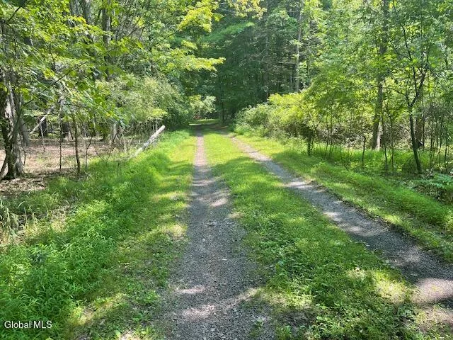 $45,000 | L5 Off Gayhead Earlton Road, Earlton, NY 12058