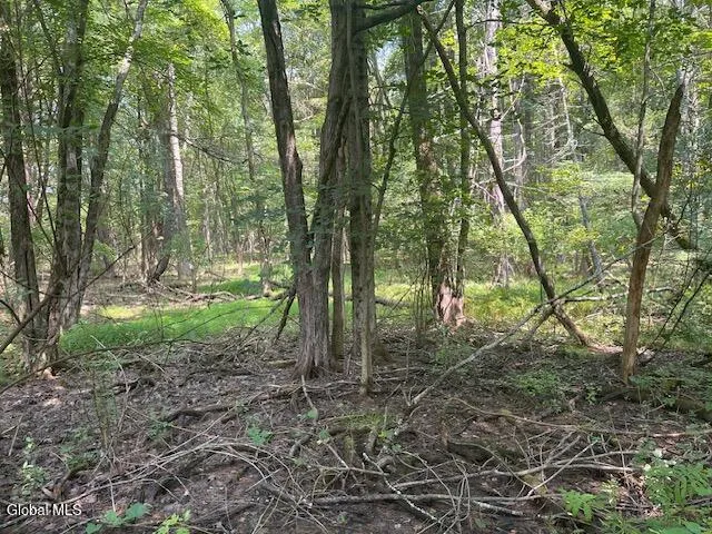 $45,000 | L5 Off Gayhead Earlton Road, Earlton, NY 12058