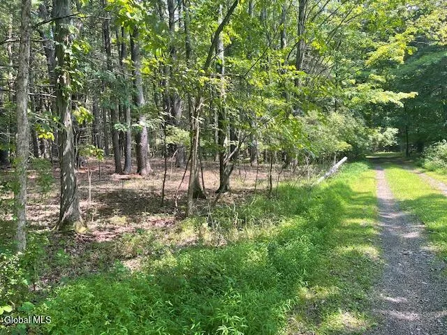 $45,000 | L5 Off Gayhead Earlton Road, Earlton, NY 12058