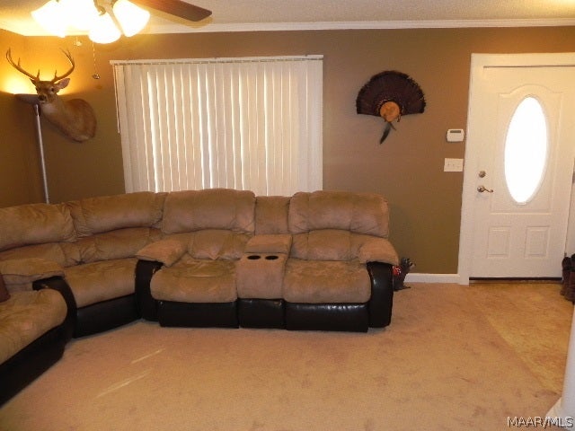 8125 Judge Logue Road Newton, AL 36352 - Photo 12 of 36 Gallery Image 12