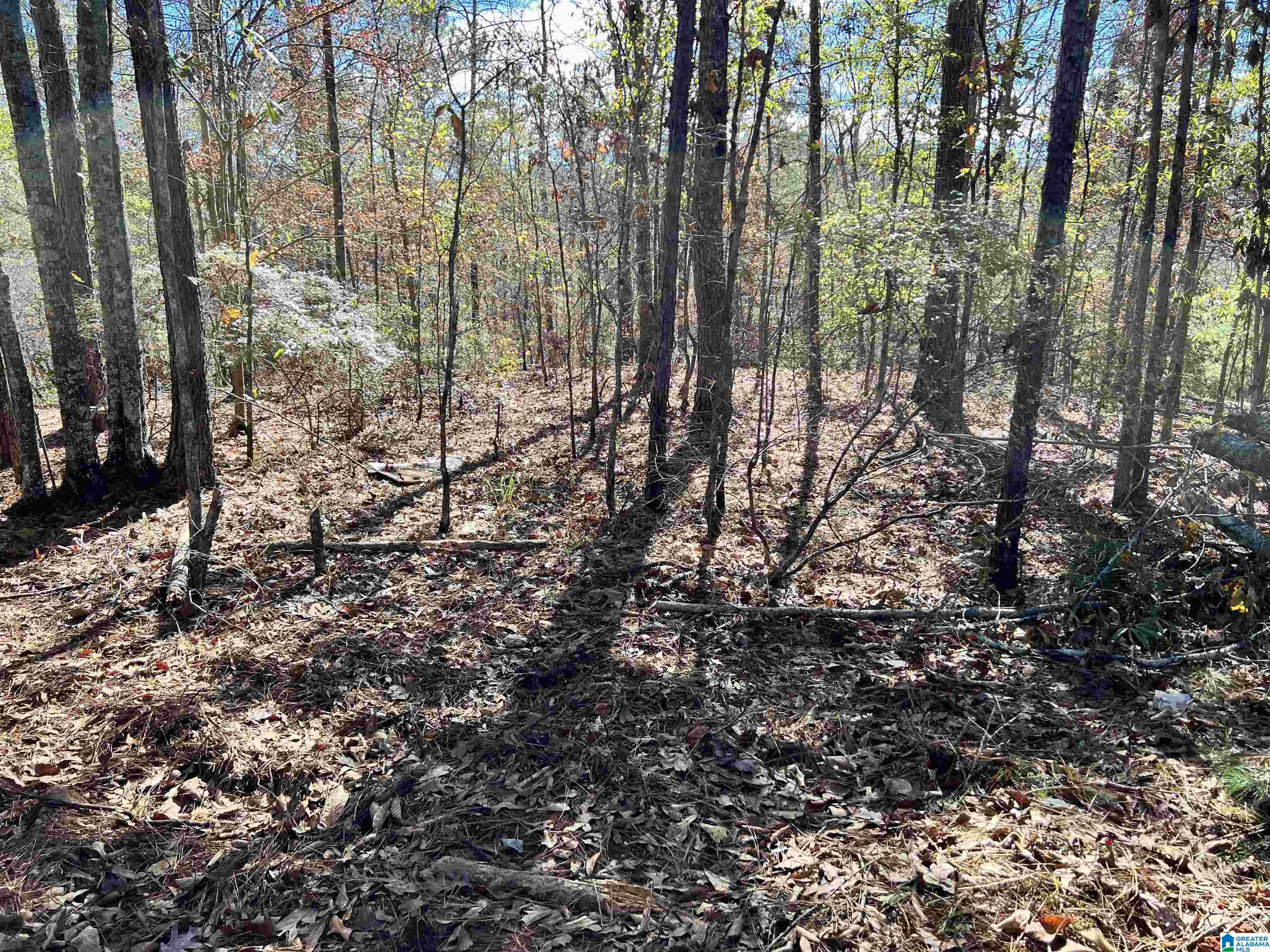 Foster Hills Road, Unit 17 Lineville, AL 36266 - Photo 3 of 4