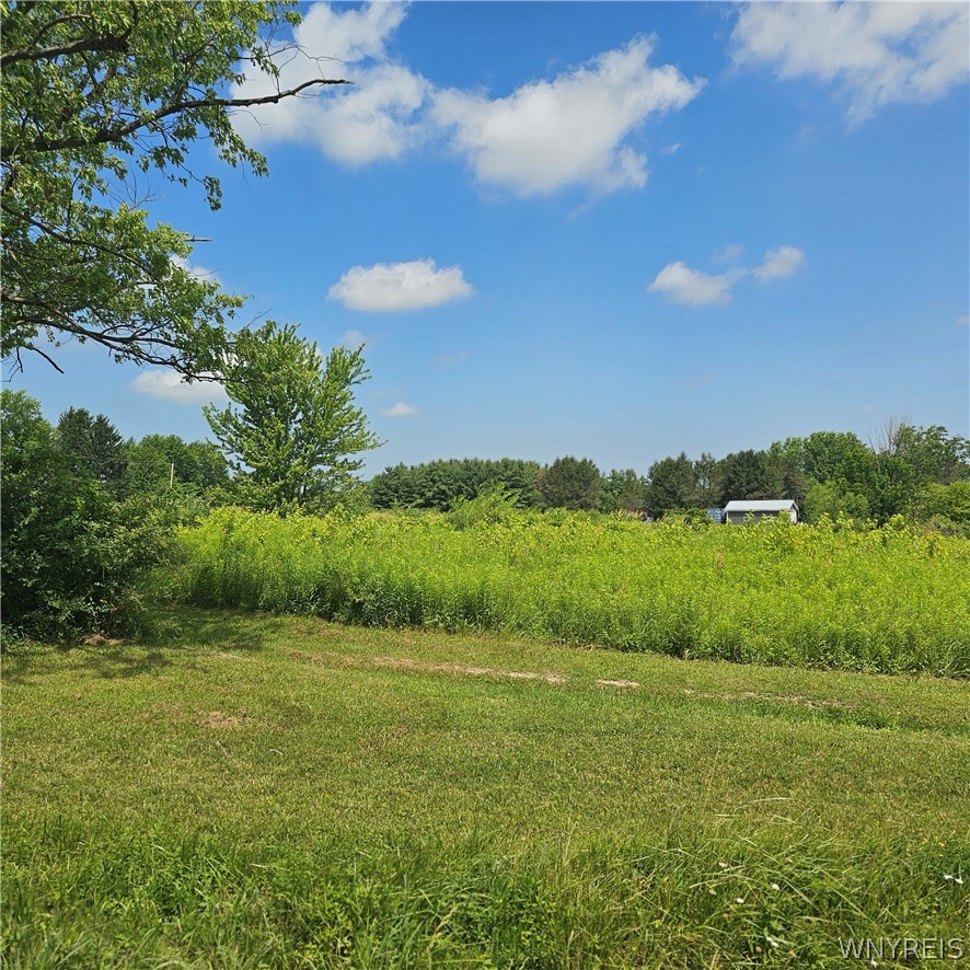 10248 Clarksburg Road North Collins, NY 14057 - Photo 32 of 35