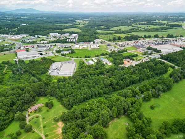 a view of a lush green field with lots of bushes