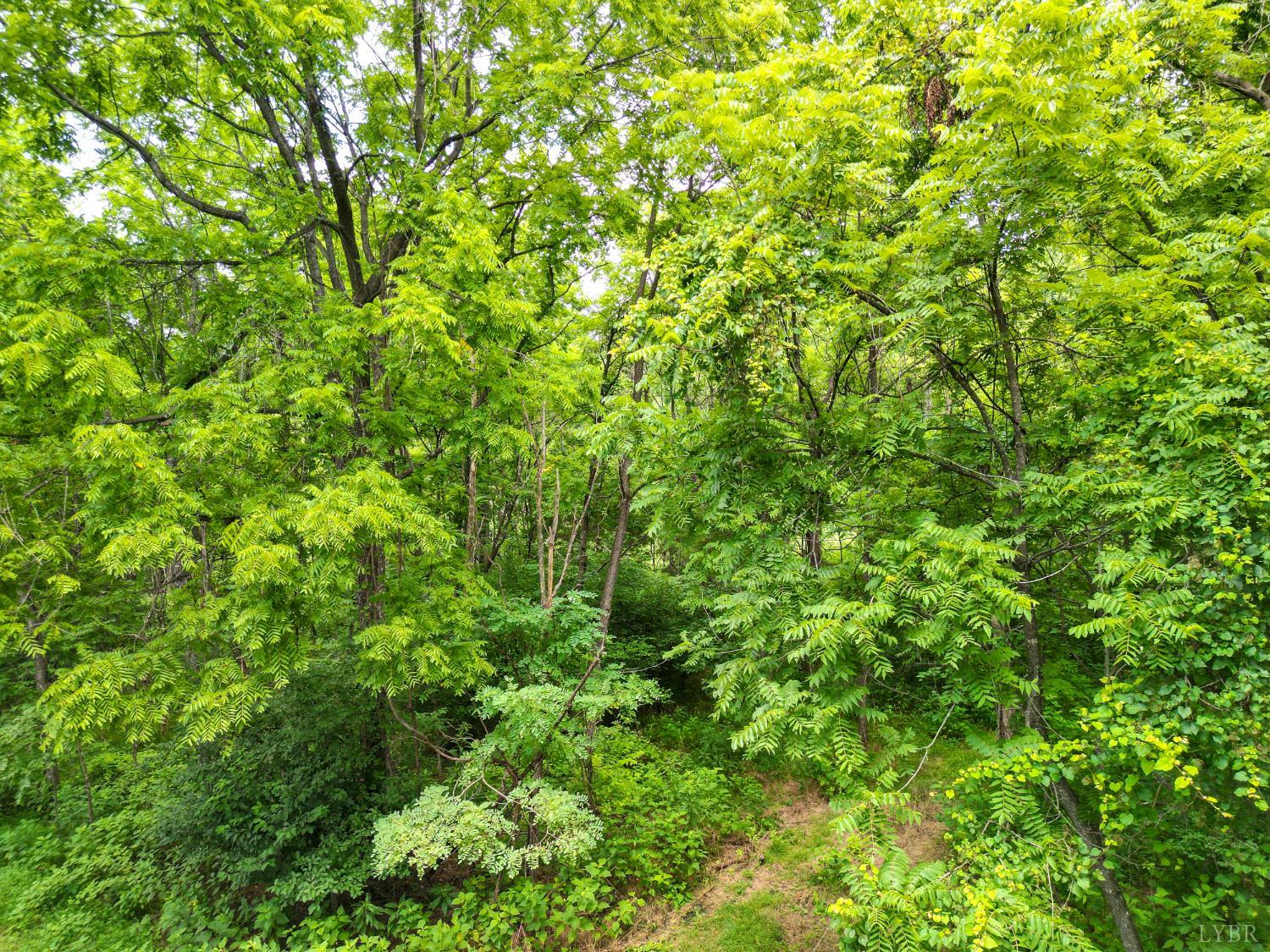 0 Elkton Farm Road Forest, VA 24551 - Photo 2 of 30 a view of a lush green space