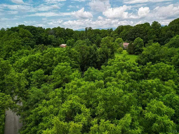 an aerial view of residential houses with outdoor space and trees