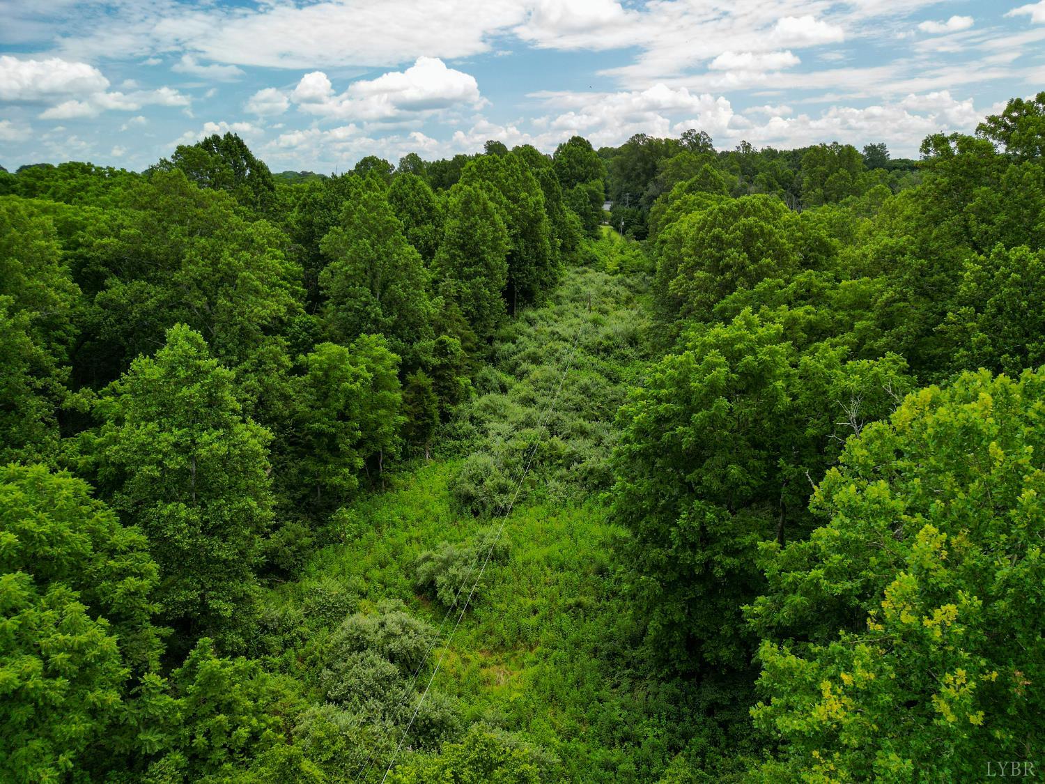 0 Elkton Farm Road Forest, VA 24551 - Photo 4 of 30 a view of a green field with lots of bushes