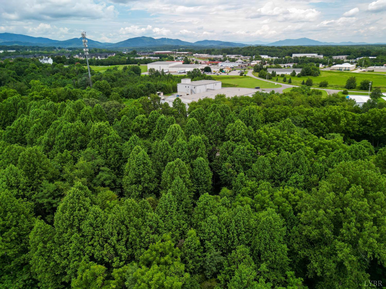0 Elkton Farm Road Forest, VA 24551 - Photo 6 of 30 a view of a city with mountains in the background