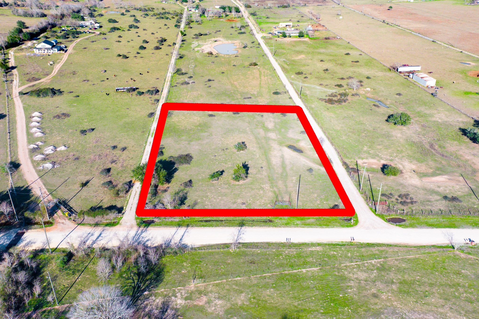 a view of under an umbrella and more potted plant