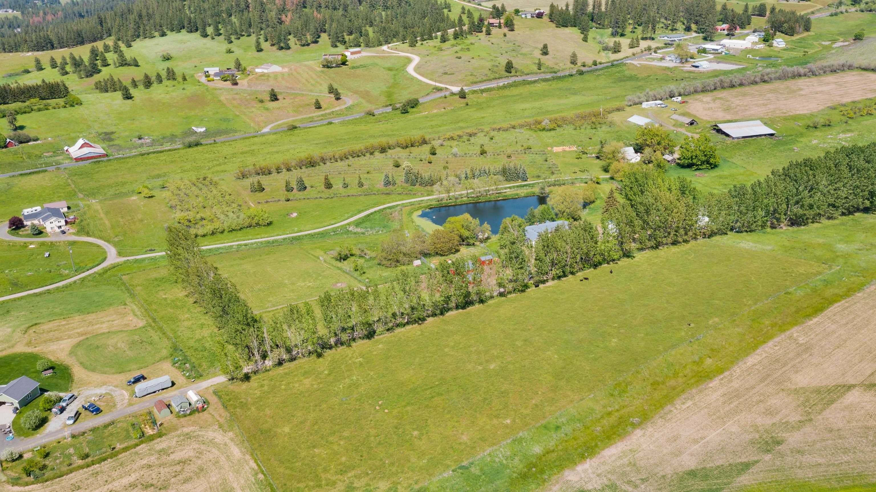 10318 North Morrison Road Spokane, WA 99217 - Photo 8 of 44