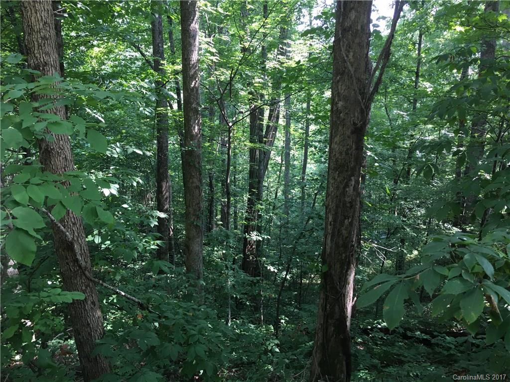 0 Old Dummy Line Road Balsam, NC 28707 - Photo 5 of 7 Gallery Image 5
