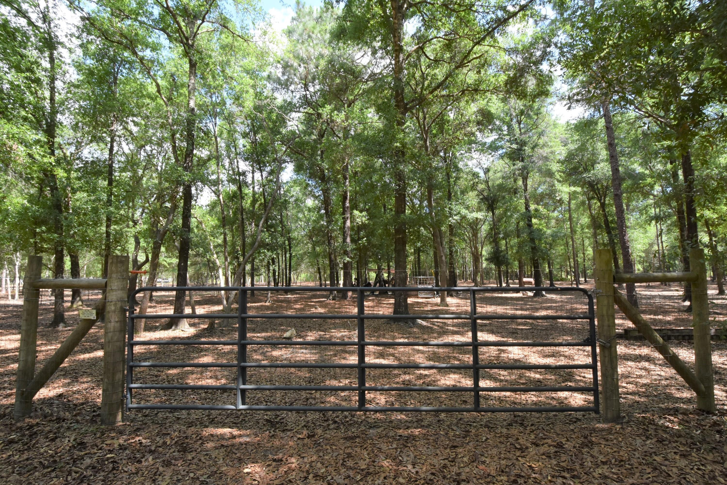 1421 Thunder Ridge Road Holt, FL 32564 - Photo 11 of 18 1421 Thunder Ridge 11