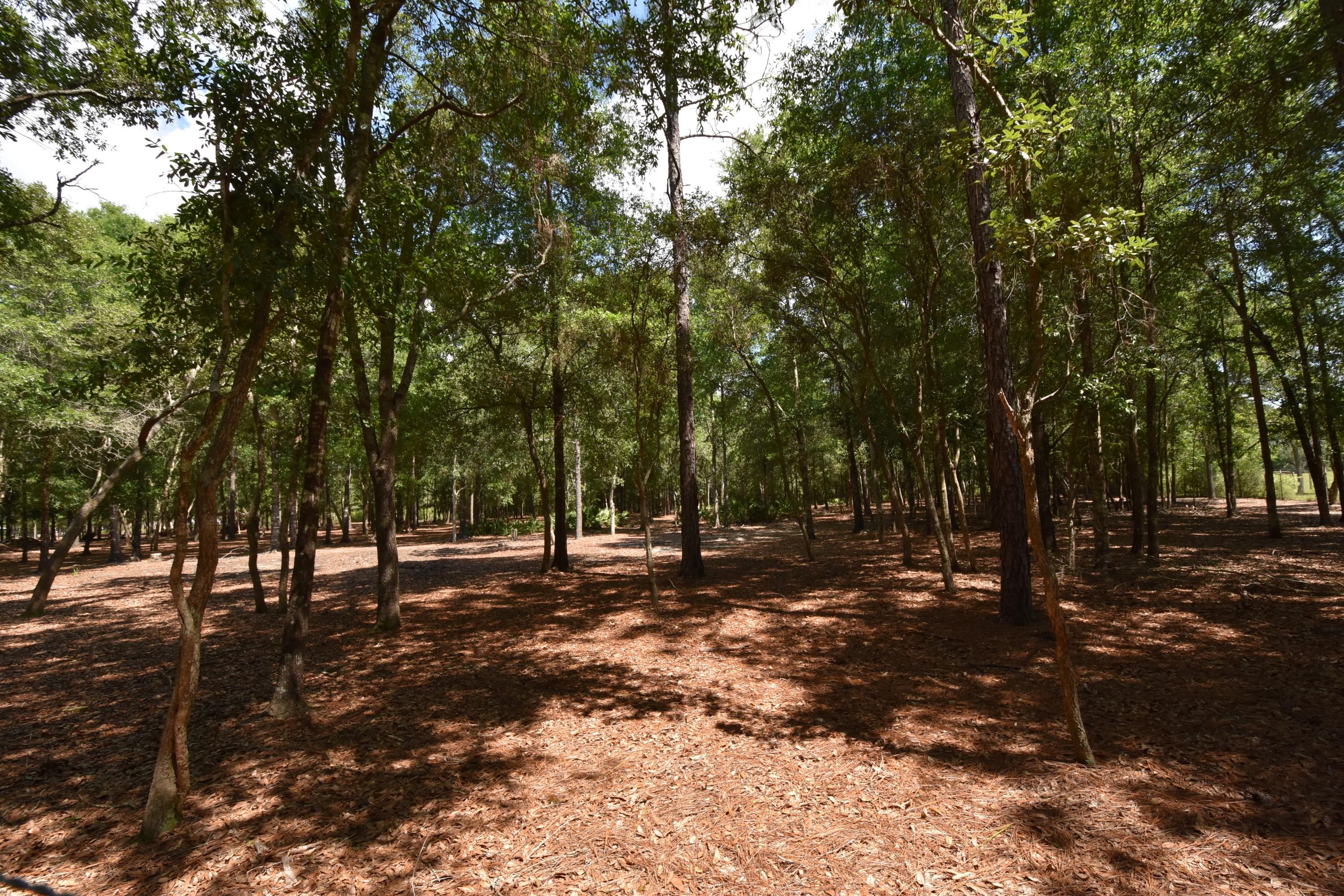 1421 Thunder Ridge Road Holt, FL 32564 - Photo 14 of 18 1421 Thunder Ridge 14