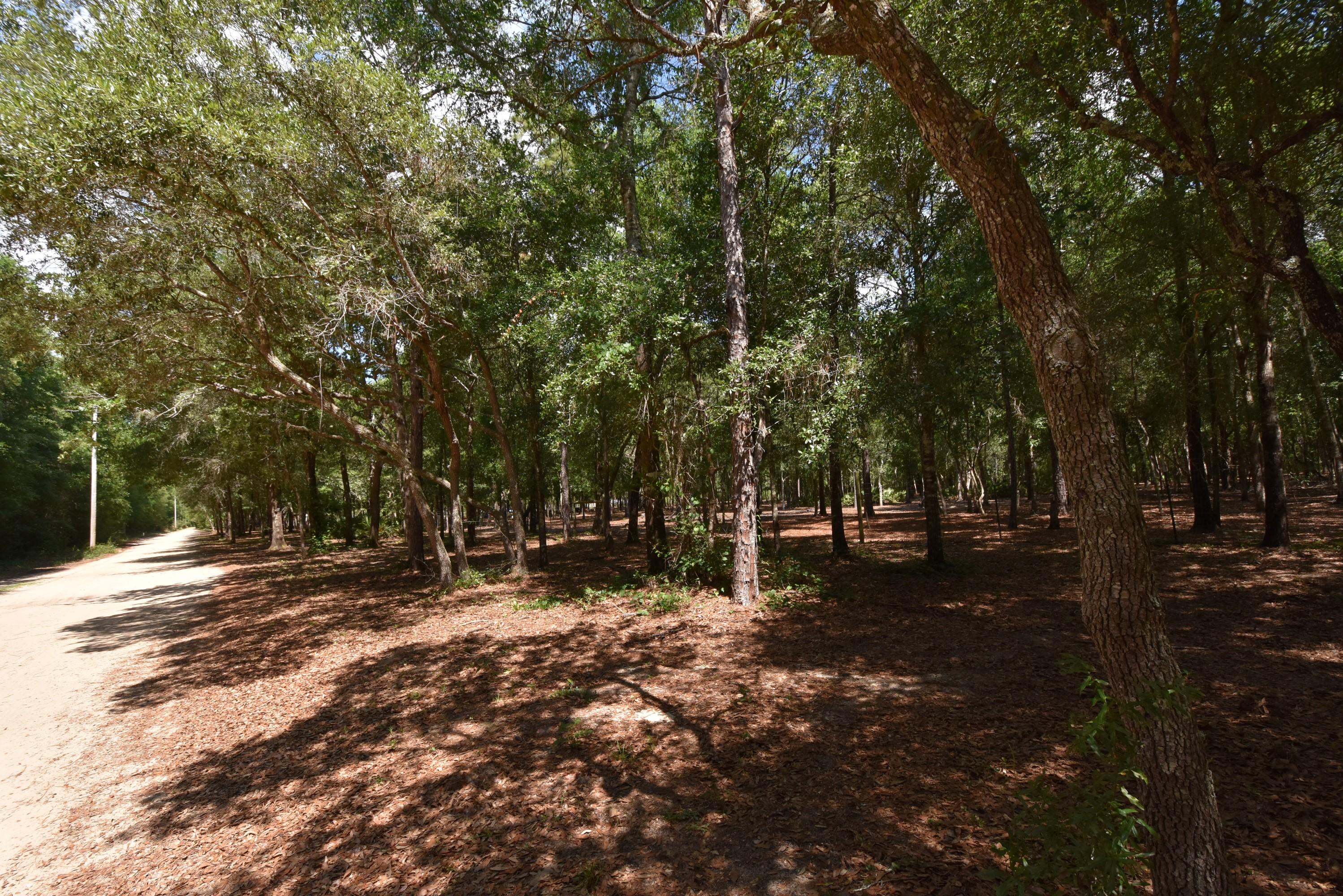 1421 Thunder Ridge Road Holt, FL 32564 - Photo 16 of 18 1421 Thunder Ridge 16