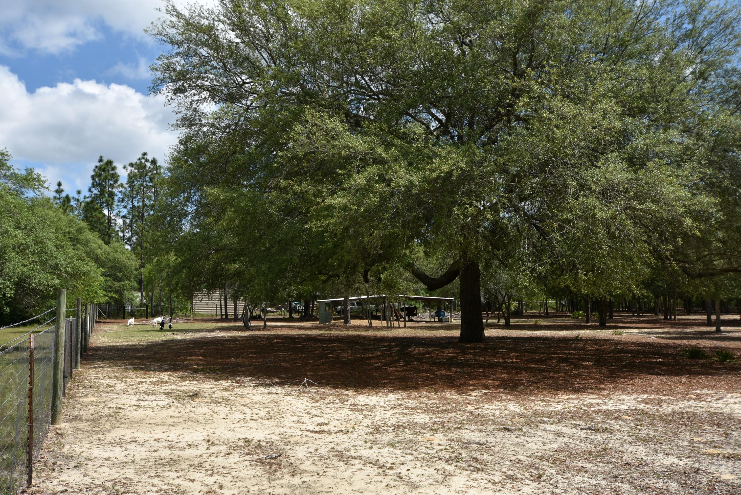 1421 Thunder Ridge Road Holt, FL 32564 - Photo 2 of 18 1421 Thunder Ridge 02