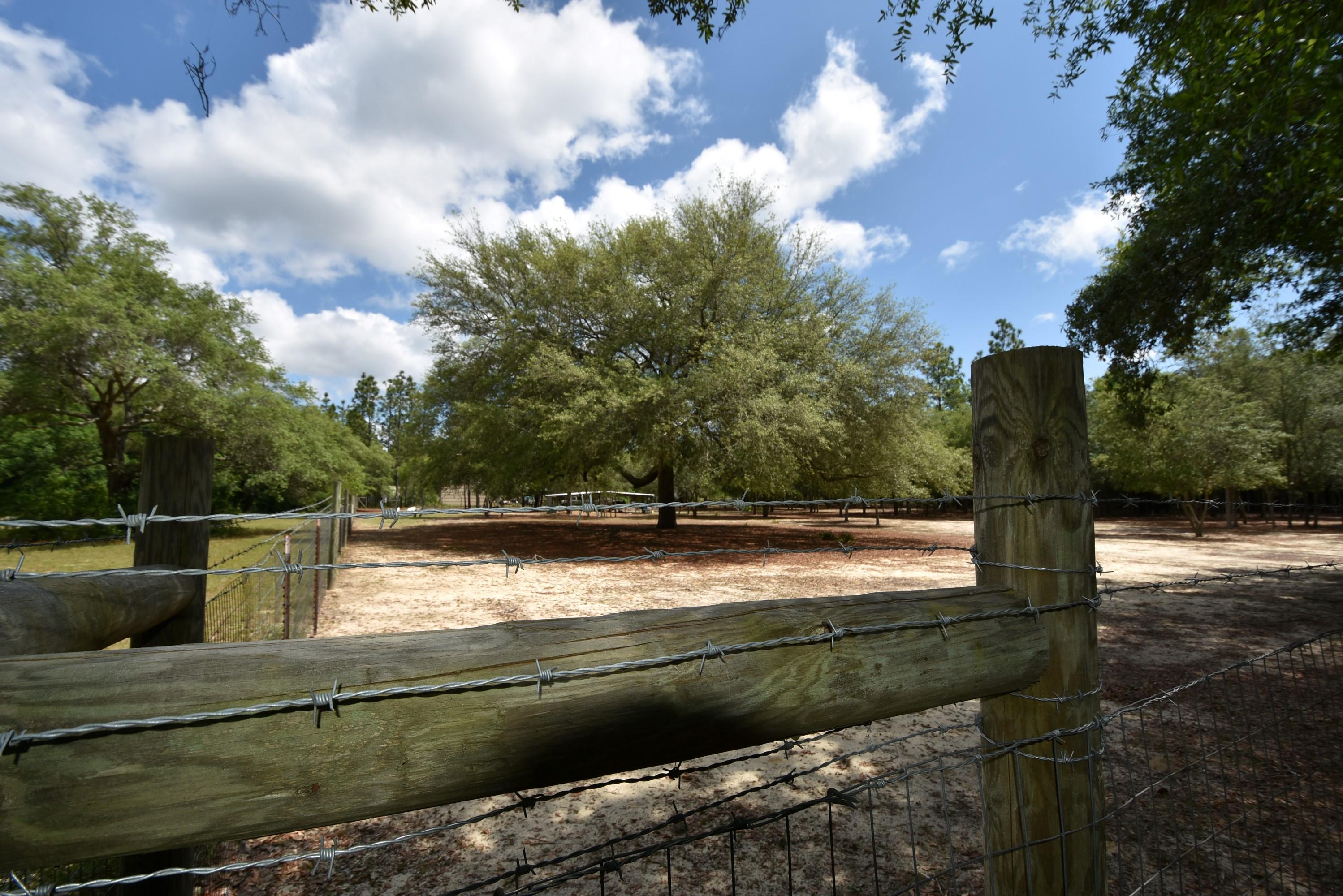 1421 Thunder Ridge Road Holt, FL 32564 - Photo 4 of 18 1421 Thunder Ridge 04