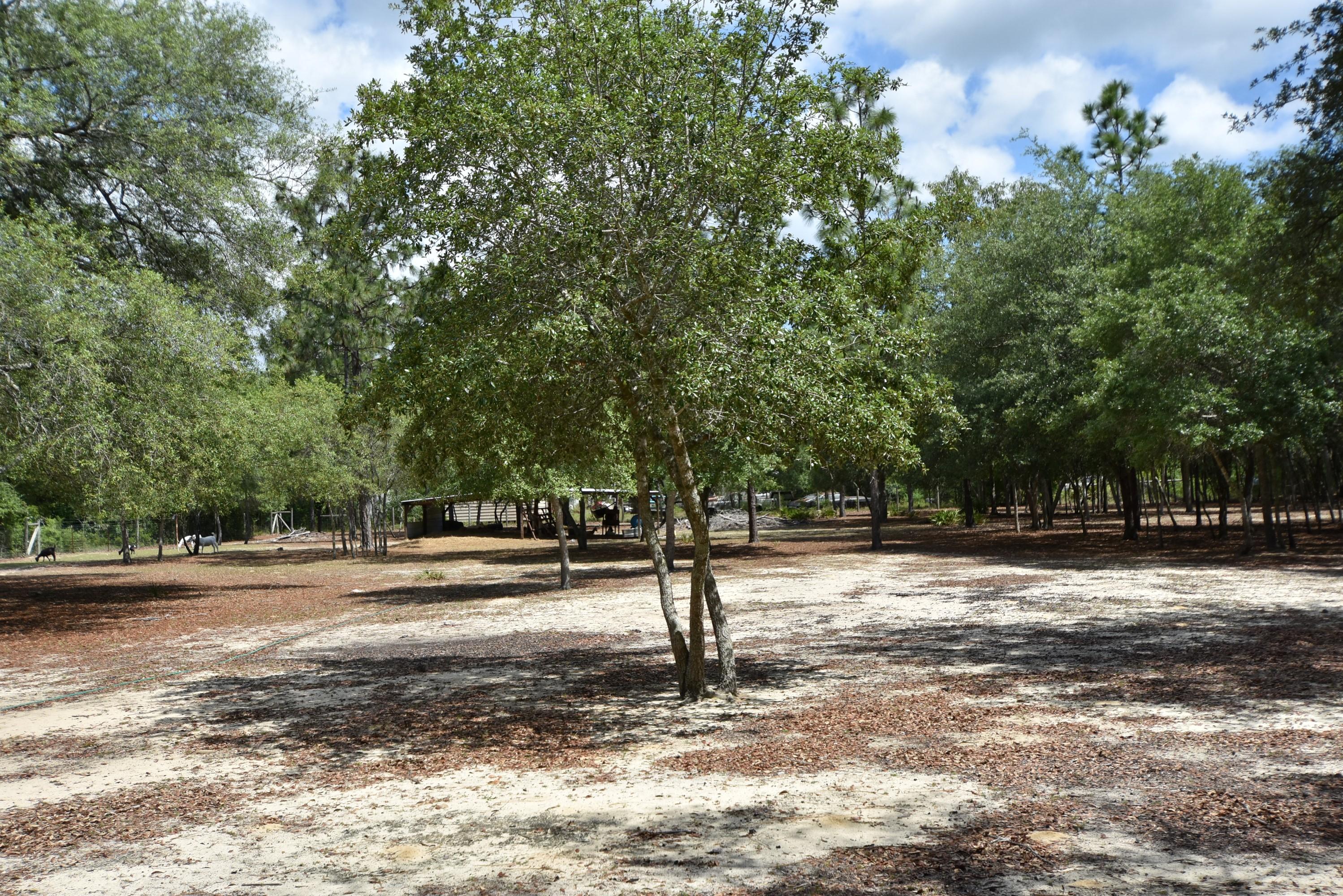 1421 Thunder Ridge Road Holt, FL 32564 - Photo 6 of 18 1421 Thunder Ridge 06