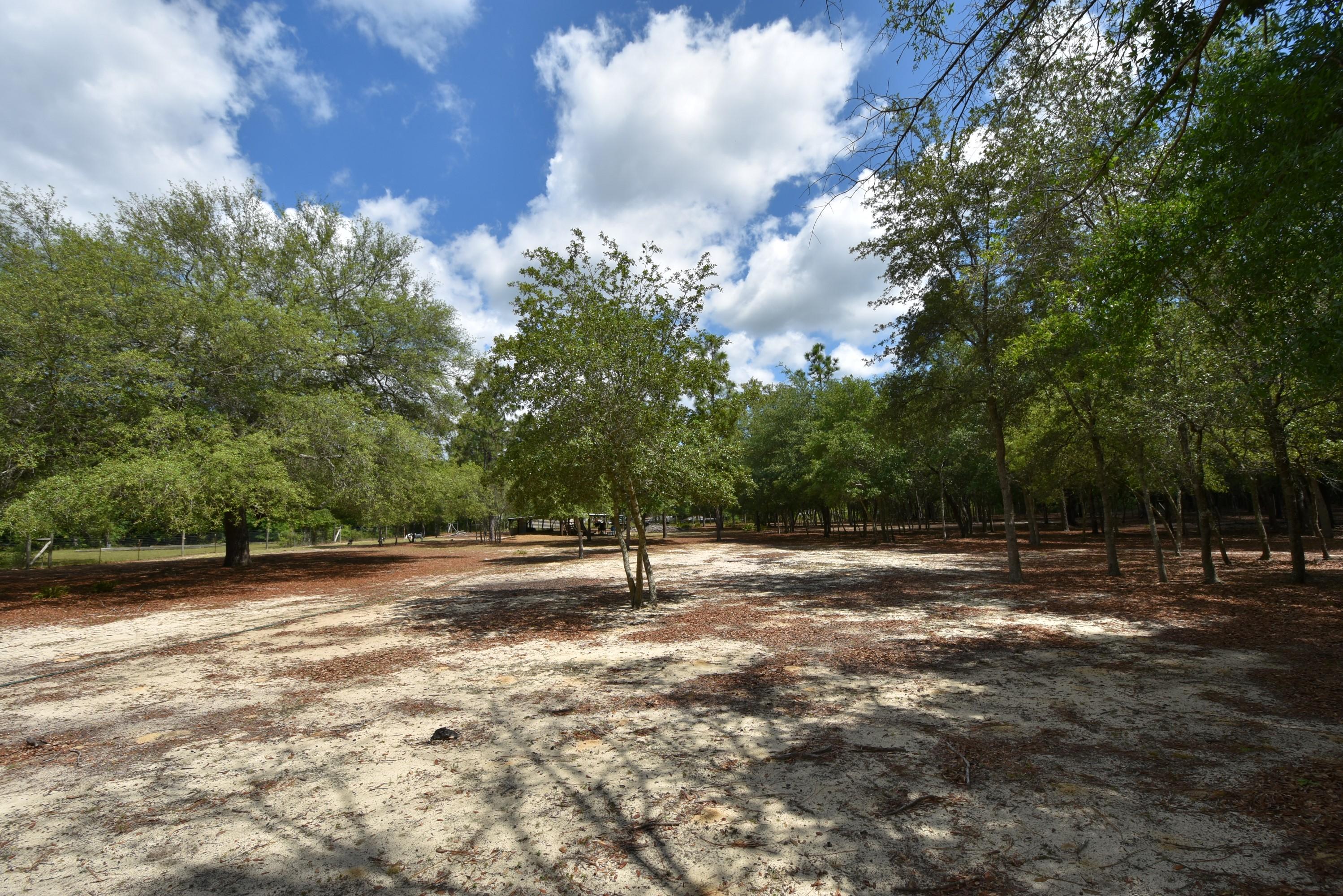 1421 Thunder Ridge Road Holt, FL 32564 - Photo 7 of 18 1421 Thunder Ridge 07